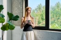 Best Mosquito Screen for Euro-Style Windows Clean Look, Clear View