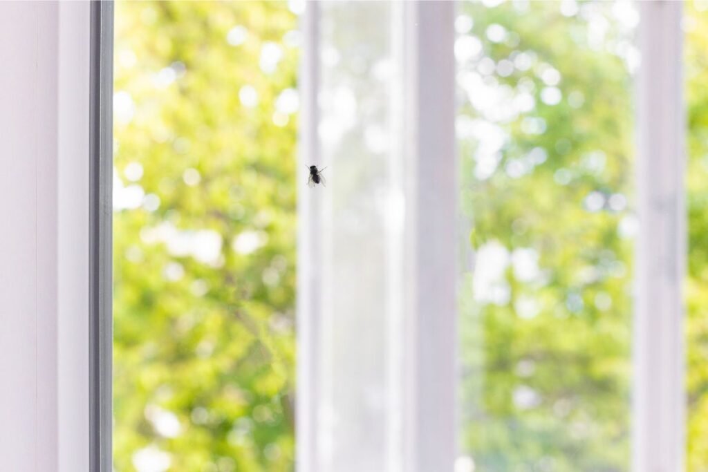 Why Mosquitoes Get In (and How to Stop Each Cause)